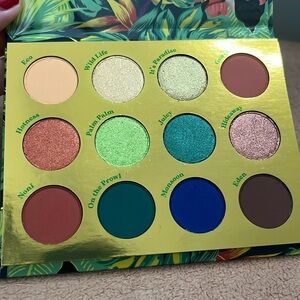Colourpop Lush Life Palette
